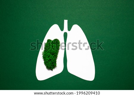 Paper silhouette of anatomical lungs with natural moss on a green background. Healthy breathing concept.