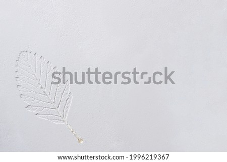 Silhouette of tree leaf printed on 
smooth flat surface. Top view of white dust, sand blow, flour, powder. Abstract grainy texture. Autumn nature pattern background concept. Process of cooking.