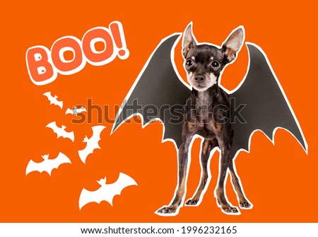 Illustration of funny halloween background. Halloween symbols and word boom on orange background. Orange invitation to holiday halloween party. All Hallows' Eve decorations. Dog with mouse wings