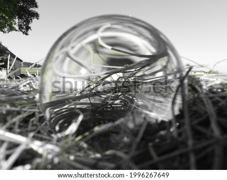 dry grass in summer 2021 photographed through a glass ball