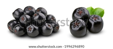 Aronia melanocarpa (black chokeberry) with leaves isolated on white background Royalty-Free Stock Photo #1996296890