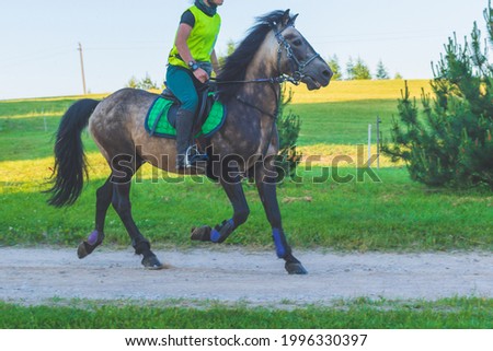 Woman racing, riding horse in summer nature.Equestrian on a horse.Horse dressage show horse in motion.Nature summer forest background.