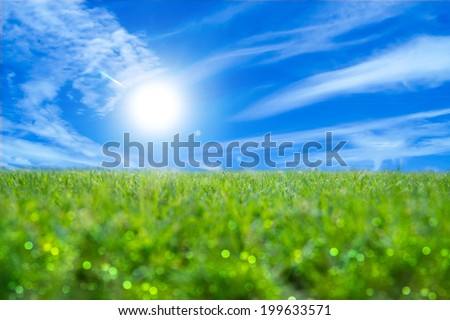 Green grass and sky.