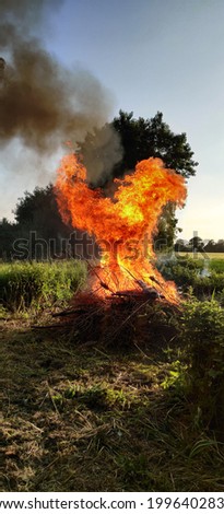 picture of a flaming bonfire 