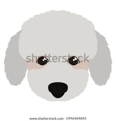 Cute Illustration Dog Pet Face 