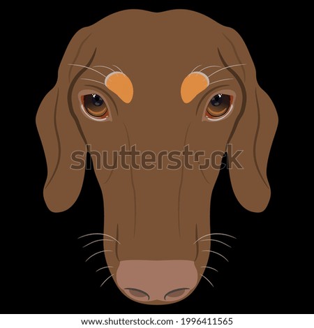 Head of a duchshund breed dog. Canine pet portrait. Animal mask. Cartoon style. Isolated vector illustration. On black background.
