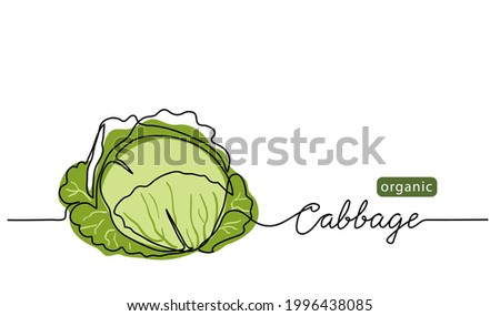 Cabbage head, cole simple vector illustration for background. One line drawing art illustration with lettering organic cabbage.