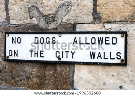 York City Walls 'No Dogs Allowed Sign'