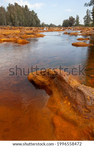 Dead red Tinto River with very acidic water as a result of the mining, in Huelva, Spain.  Reddish hue is due to iron and copper dissolved in the water.