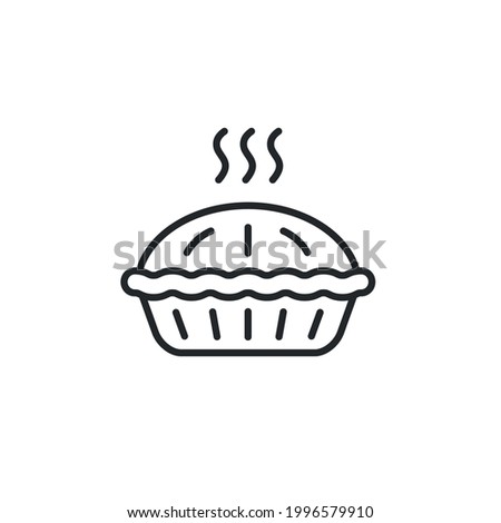 Pie icon. Thin line pie icon isolated on white background. Icon for web design and social media. Vector illustration 
