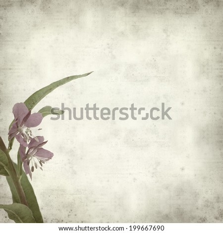 textured old paper background with fireweed