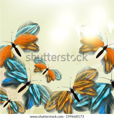 Vector illustration with  butterflies made from feathers for design