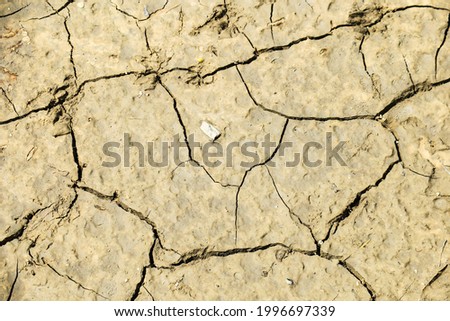 Beautiful texture of cracked earth after rain