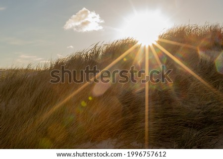 Sun rays shining directly over a sand dune with grass. a big yellow sun star. Landscape shot on the beach. 