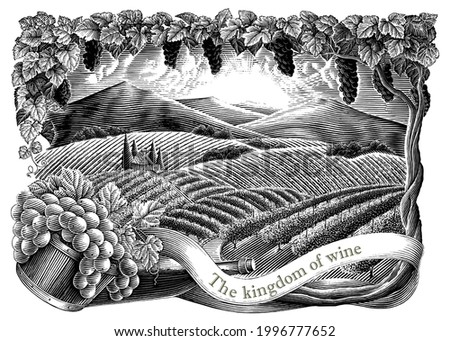 Vineyard with frame hand draw vintage engraving style black and white clip art isolated on white background