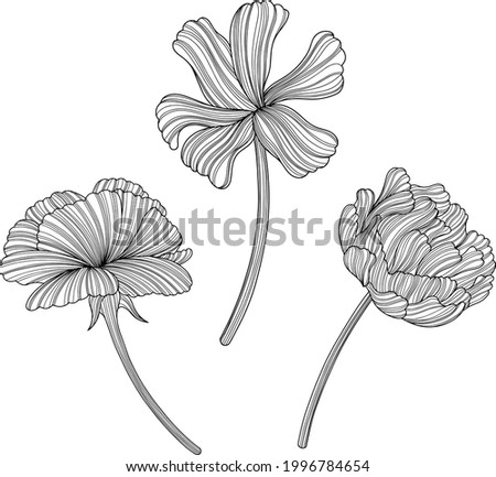Illustration of abstact  flowers. Line vector art. Eps10 