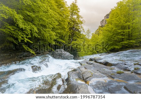 Rapid river with a small waterfall surrounded by rocks and trees in a summer day