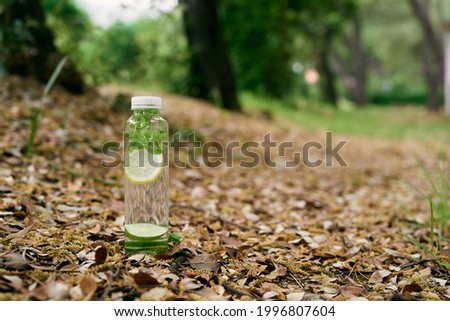 Bottle of water with lemon and mint stands on the ground among dry foliage in a green park