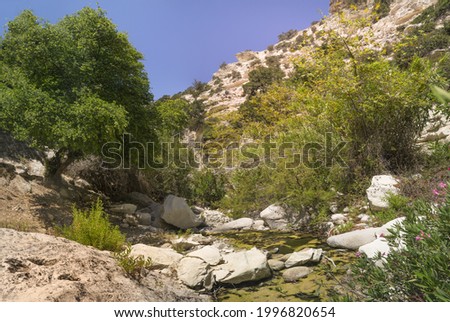 Scenic landscape with flowering plants and river in Avakas Gorge. Akamas peninsula, Cyprus.