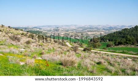 Ella valley in Israel. Wide angle view of the valley of Elah and the Judea mountains in the distance.