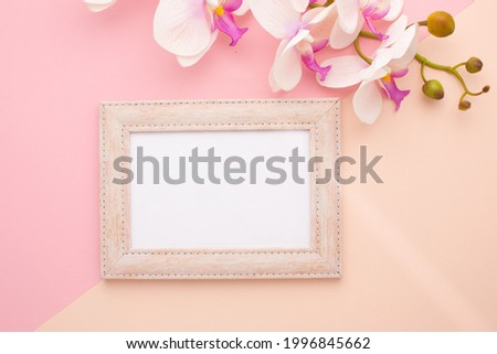 Frame on pink background with orchid with place for text. High quality photo