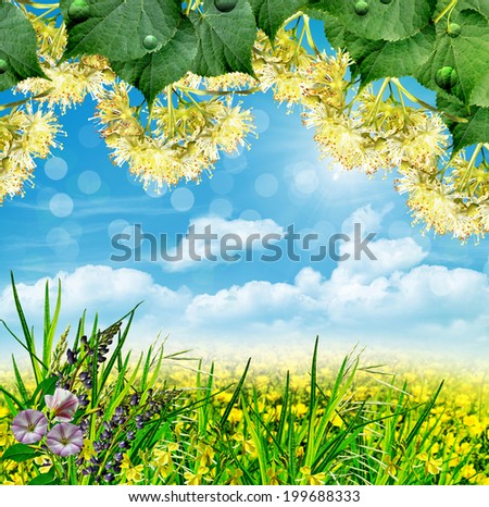 Summer landscape with field flowers on a background of blue sky and clouds