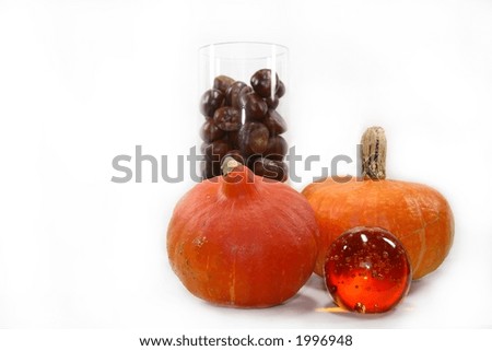 autumn decoration ,high key, isolated on white