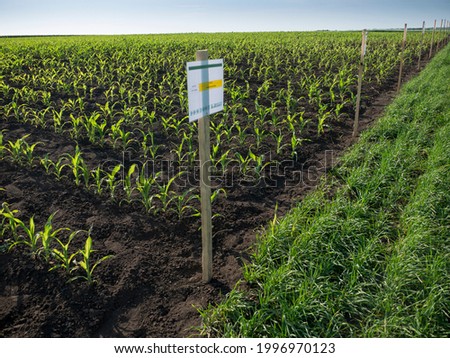 Paper signboard on agricultural land with young sprouts, field with nameplate Plant nametag-board, concept of eco farm.