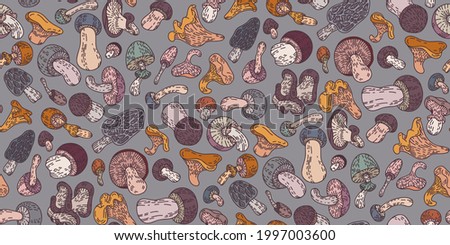 Mushrooms seamless pattern are hand-draw, doodle graphic. Autumn forest. Vector illustration. Colored trendy Flat design. Outline style. For Textile, Wallpaper, wrapping paper, Card design.