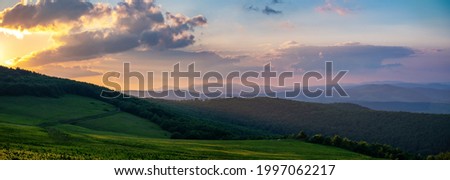 Beautiful mountain landscape at sunset. A green valley with flowers turns into a dense forest. On the horizon, distant mountains dissolve in the evening haze