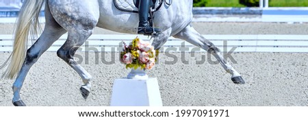 Dressage horses and riders in uniform. Horizontal banner for website header design. Equestrian sport competition, copy space. Royalty-Free Stock Photo #1997091971