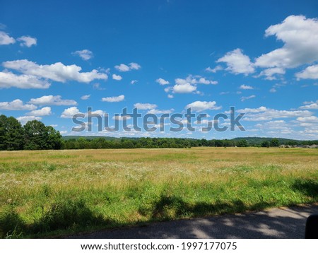 a summer field in Arkansas 