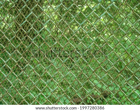     Metal mesh on a summer day in the forest as a background.                          