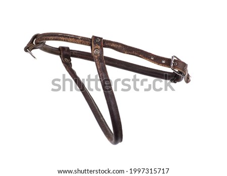 Horse harness bridle for riding isolated on white background Royalty-Free Stock Photo #1997315717