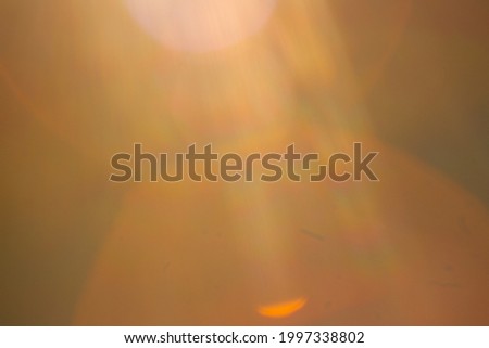 Blurred background with sunshine in a forest