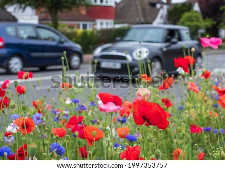 Colourful wild flowers, including pink and red poppies and cornflowers, on a roadside verge in Eastcote, West London UK. Wild flowers are planted to attract insects. Car passes by in the background. Royalty-Free Stock Photo #1997353757