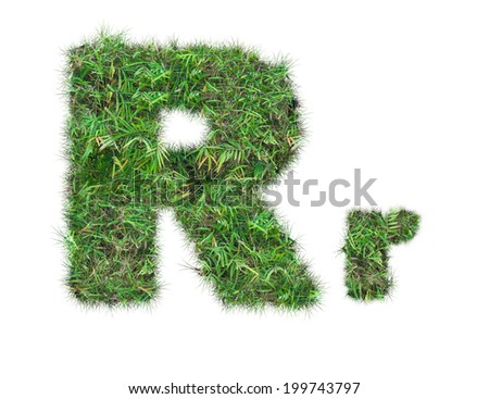 letter R on green grass isolated on over white background