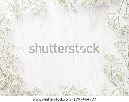 Flowers composition. White flowers on white background. Wedding mockup with small flowers. Flat lay, top view, frame. Gypsophila Baby's-breath flowers Royalty-Free Stock Photo #1997464997