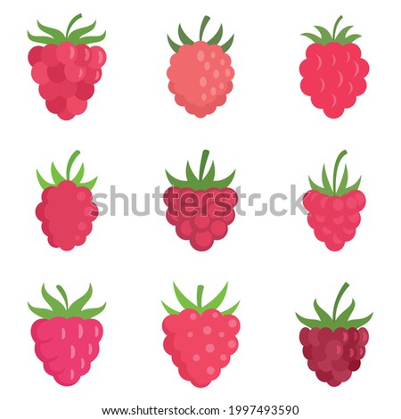 Raspberry icons set. Flat set of raspberry vector icons isolated on white background