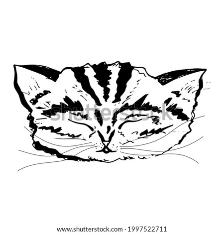 Cat face. Vector illustration. Black and white drawing.