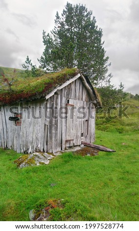 Traditional shed in a field