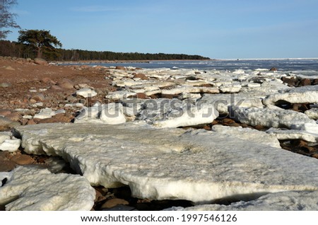 Ice jam on the coast sandy rocky beach. Gulf of Finland. Lonely pine on the cape. Clear spring sunny blue sky. High quality photo