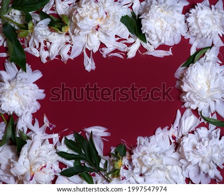 A wreath of peony flowers on a red background. Contrast of color and texture. The frame is made of beautiful white peonies on a red background, flat, with space for text. Flower arrangement