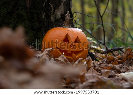 Close-up view of Jack O' Lantern face in the forest. Smiling face carved on orange pumpkin. Side view. Selective focus. Halloween theme.