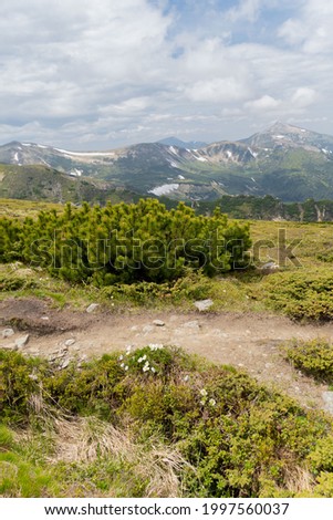 View of the Ukrainian Carpathians. Photo of nature and summer mountains