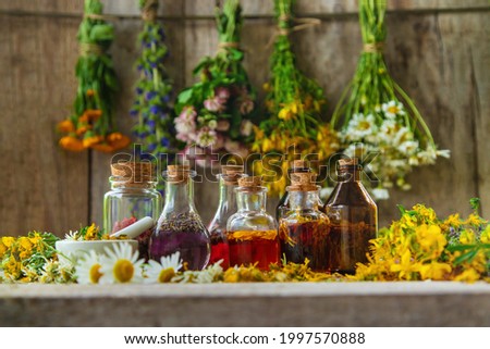 Tincture of medicinal herbs in bottles. Selective focus. Nature.