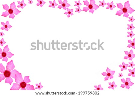 Frame of flower isolated on white background