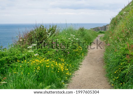 foot path by the sea
