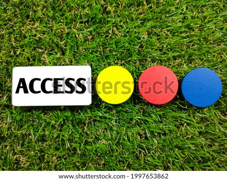 Text ACCESS on colorful wooden board on green grass background.