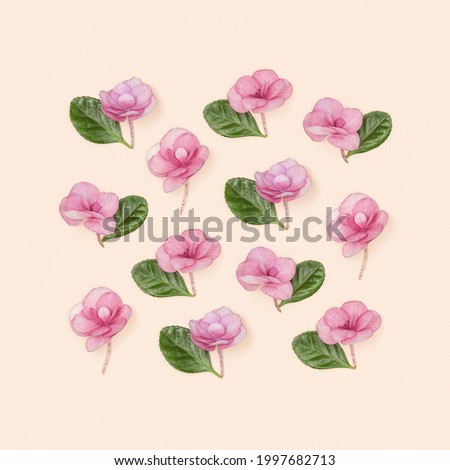 Geometric square arrangement natural pink flowers Hydrangea. Minimal summer greeting card, floral minimal flat lay on millennial pink color paper.